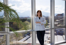 Why Natural Light Matters: The Health and Energy Benefits of Glass Walls