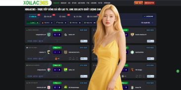 Why Trực Tiếp Bóng Đá and the Role of a Professional Phóng Viên Đưa Tin are Essential for Fans